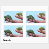 Baby Chamäleons Perspektive Rechteckiger Aufkleber (Blatt)