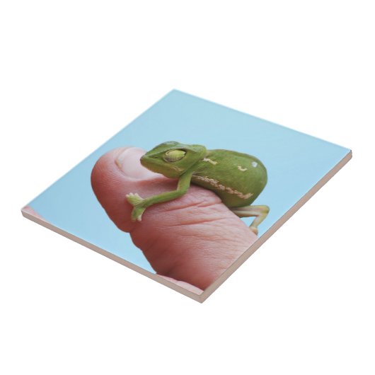 Baby Chameleon-Perspektive Fliese (Seite)