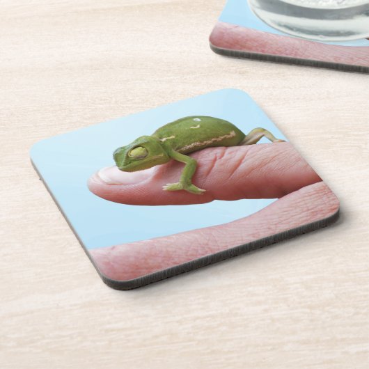 Baby Chameleon-Perspektive Getränkeuntersetzer (Linke Seite)