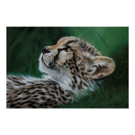 Baby Cheetah Fine Art Print 71x47cm Poster