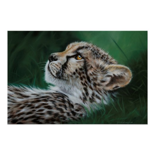 Baby Cheetah Fine Art Print 71x47cm Poster (Vorderseite)