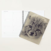 Baby Cheetah Planer (Anzeige)