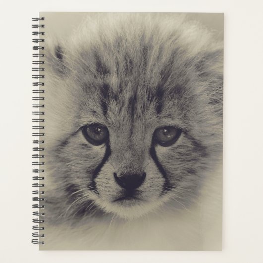 Baby Cheetah Planer (Vorderseite)