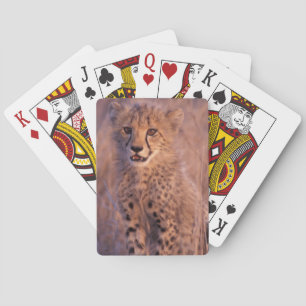 Baby Cheetah Playing Cards Spielkarten