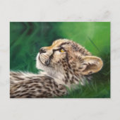 Baby Cheetah postcard Postkarte (Vorderseite)