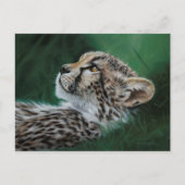 Baby Cheetah Postcard Set 10 Postkarte (Vorderseite)