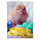 Baby Chick (Vorne)