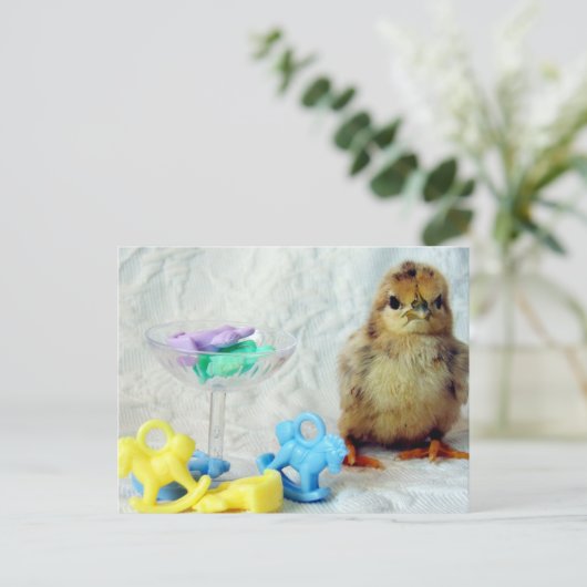 Baby Chick 2 Postkarte (Stehend Vorderseite)