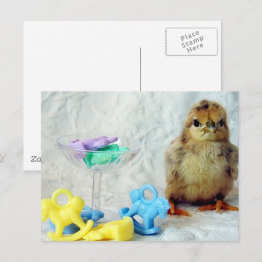 Baby Chick 2 Postkarte (Vorne/Hinten)