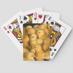Baby Chick Chicken Chicken Spielkarten