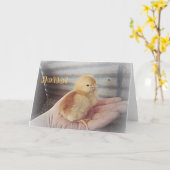 Baby Chick "Hello" Card Karte (Gelbe Blume)