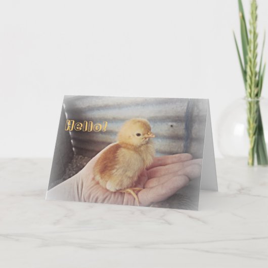 Baby Chick "Hello" Card Karte (Vorderseite)