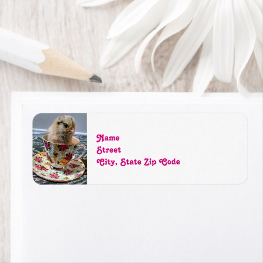 Baby Chick in a Tea Cup (Insitu)