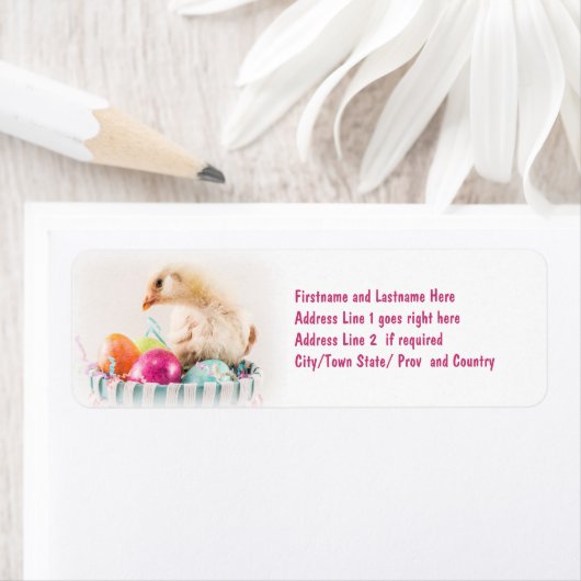 Baby Chick in Osterkörbe (Insitu)