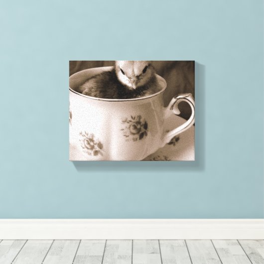 Baby Chick in Teacup Leinwanddruck (Insitu (Holzboden))