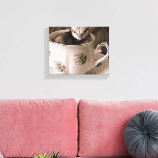Baby Chick in Teacup Leinwanddruck (Insitu (Wohnzimmer))