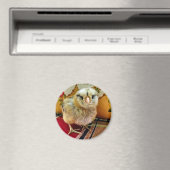 Baby Chick Magnet Farm Magnet (In Situ (Geschirrspüler))