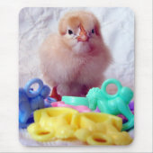 Baby Chick Mousepad (Vorne)
