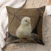 Baby Chick On Logs Kissen (Decke)