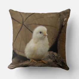 Baby Chick On Logs Kissen
