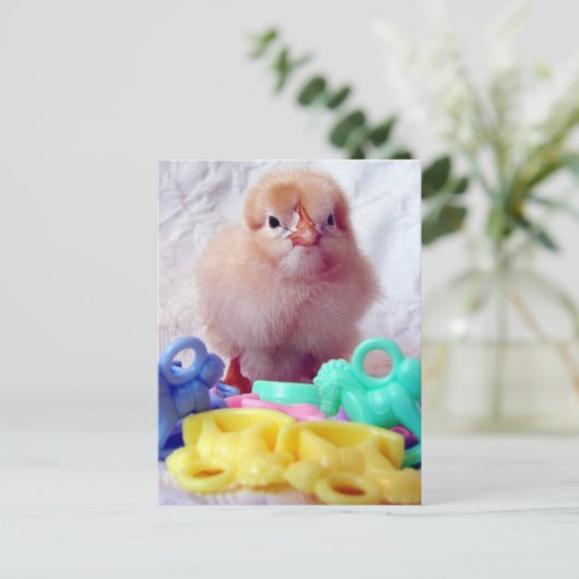 Baby Chick Postkarte (Stehend Vorderseite)