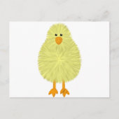 Baby Chick Postkarte (Vorderseite)