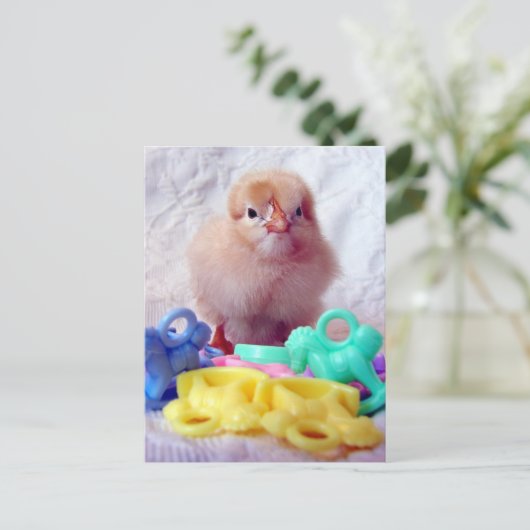 Baby Chick Postkarte (Stehend Vorderseite)