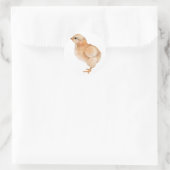 Baby Chick Sticker (Tasche)