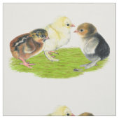 Baby Chick Trio Stoff (Muster)
