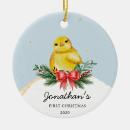Baby Chicken Baby's First Christmas Ornament