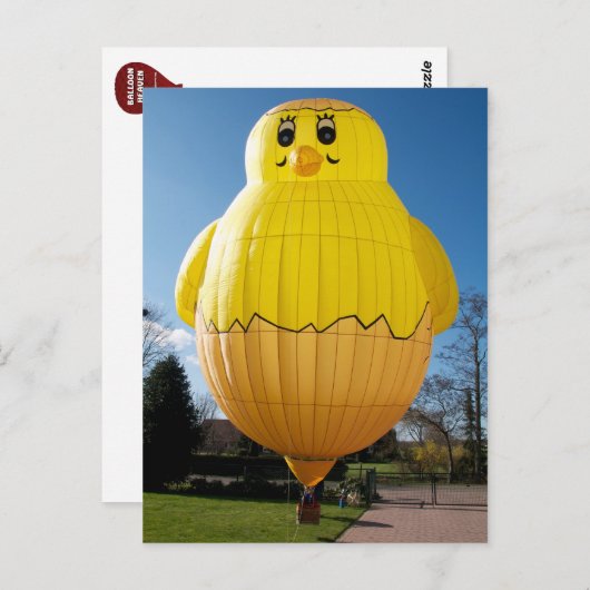 Baby Chicken Balloon Postkarte (Vorne/Hinten)