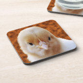 Baby Chicken Face, Untersetzer (Linke Seite)