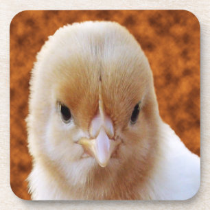 Baby Chicken Face, Untersetzer