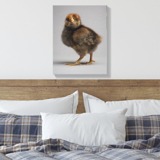 Baby Chicken Leinwanddruck (Insitu (Schlafzimmer))