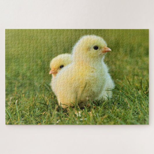 Baby Chicken Puzzle (Horizontal)