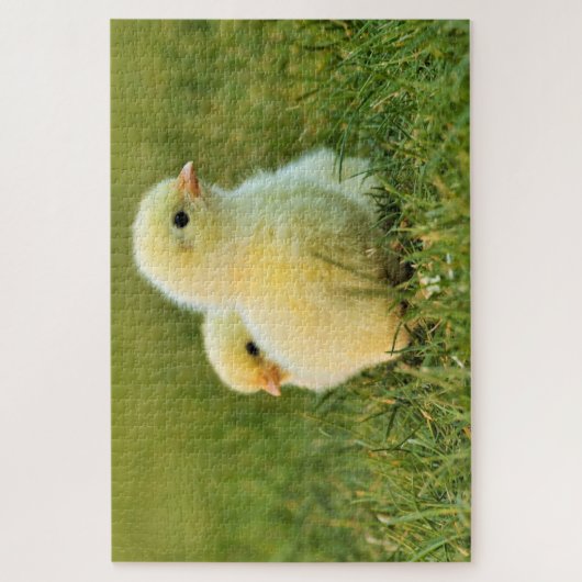 Baby Chicken Puzzle (Vertikal)
