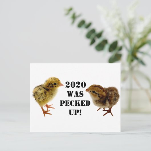 Baby Chicks Postkarte (Stehend Vorderseite)