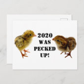 Baby Chicks Postkarte (Vorne/Hinten)