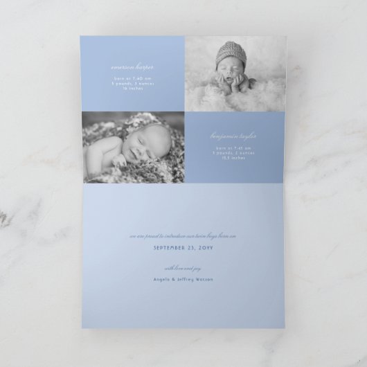 Baby Chicks Twin Boys Foto Geburtsankündigung Ankündigung (Innenseite)