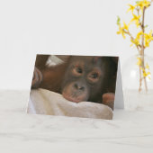 Baby Chimp Grußkarte Karte (Gelbe Blume)