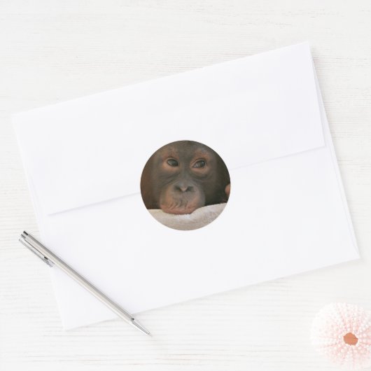 Baby Chimp Sticker (Umschlag)