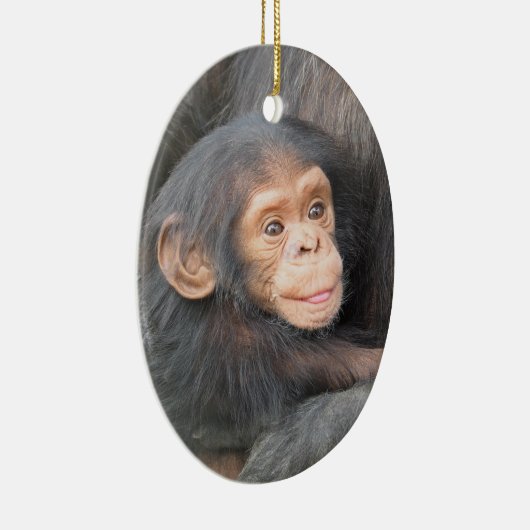 Baby Chimpanzee Keramik Ornament (Rechts)