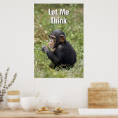 Baby Chimpanzee | Pan Troglodytes Poster (Küche)