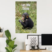 Baby Chimpanzee | Pan Troglodytes Poster (Heimbüro)