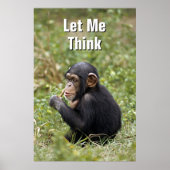 Baby Chimpanzee | Pan Troglodytes Poster (Vorne)