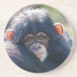 Baby Chimpanzee Reise Getränkeuntersetzer