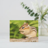 Baby-Chipmack mit Snack Postkarte (Stehend Vorderseite)