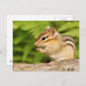 Baby-Chipmack mit Snack Postkarte (Vorne/Hinten)