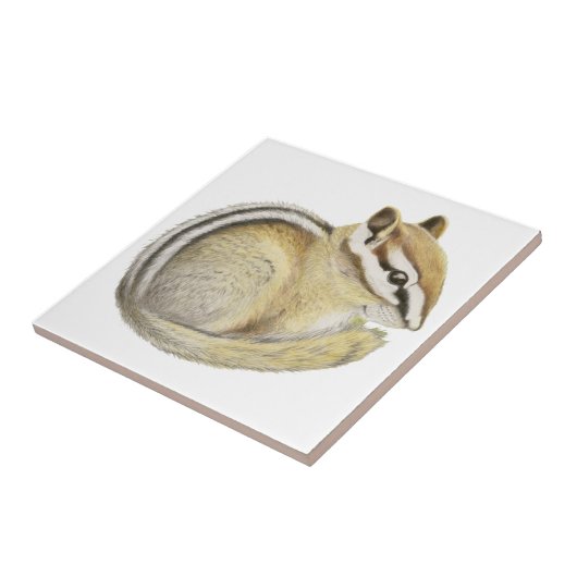 Baby Chipmunk Fliese (Seite)