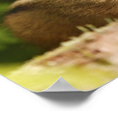 Baby-Chipmunk-Geschwister Poster (Ecke)